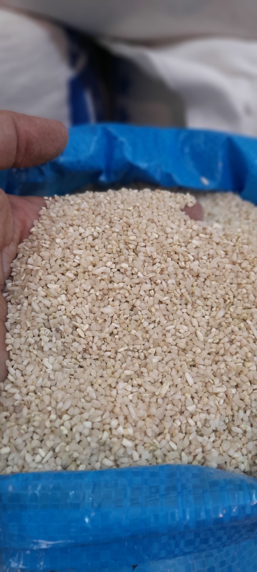 تصویر برنج نیم دانه عنبربو جنوبی