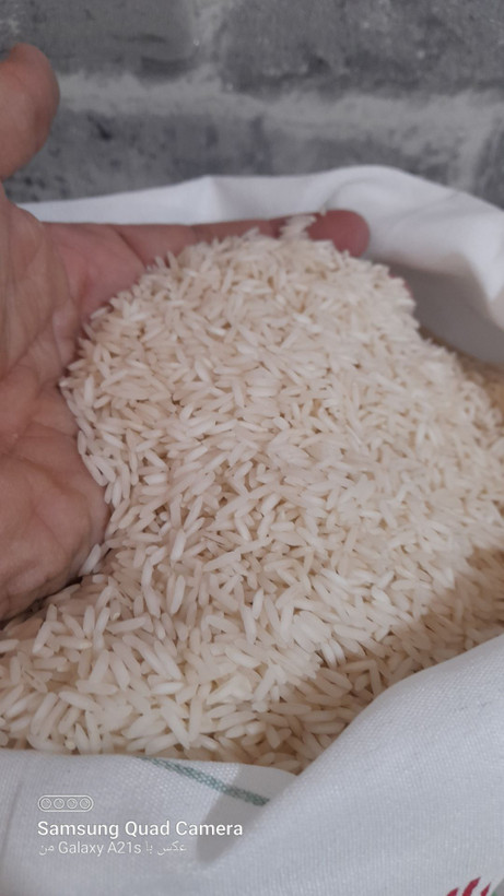 دانه برنج دمسیاه هاشمی ۱۰ کیلویی با ارسال رایگان