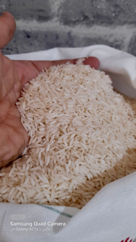 برنج طارم استخوانی تازه برداشت شمال با ارسال رایگان به سراسر ایران