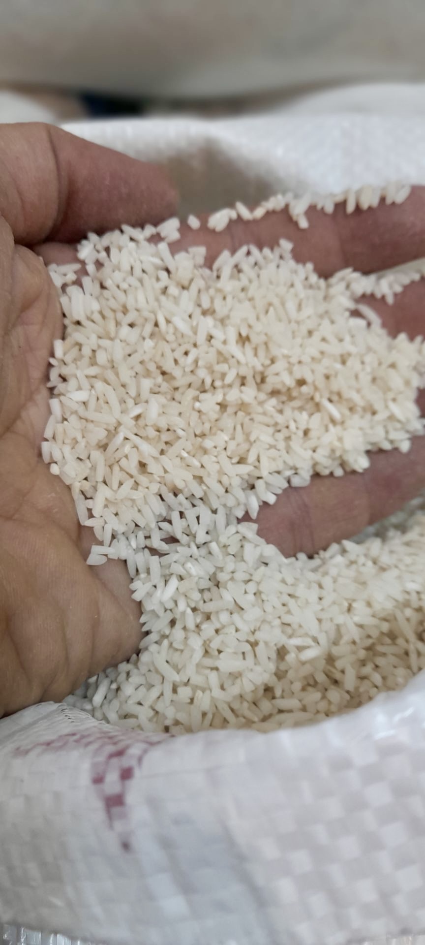 برنج لاشه هاشمی گیلان در آشپزخانه — دانه نیم‌ شده بافت ‌دار