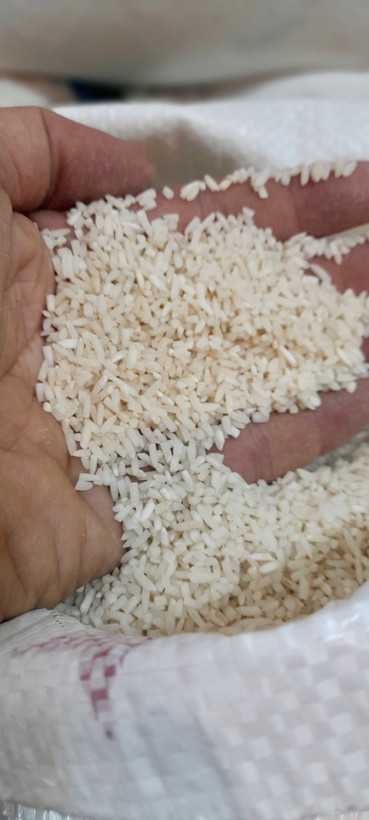 برنج لاشه هاشمی گیلان در آشپزخانه — دانه نیم شده بافت دار