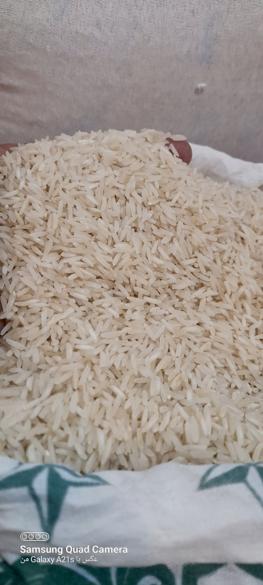 خرید برنج خوشپخت عمده ده کیلویی