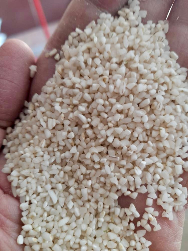 تصویر برنج نیم دانه عنبربو جنوبی